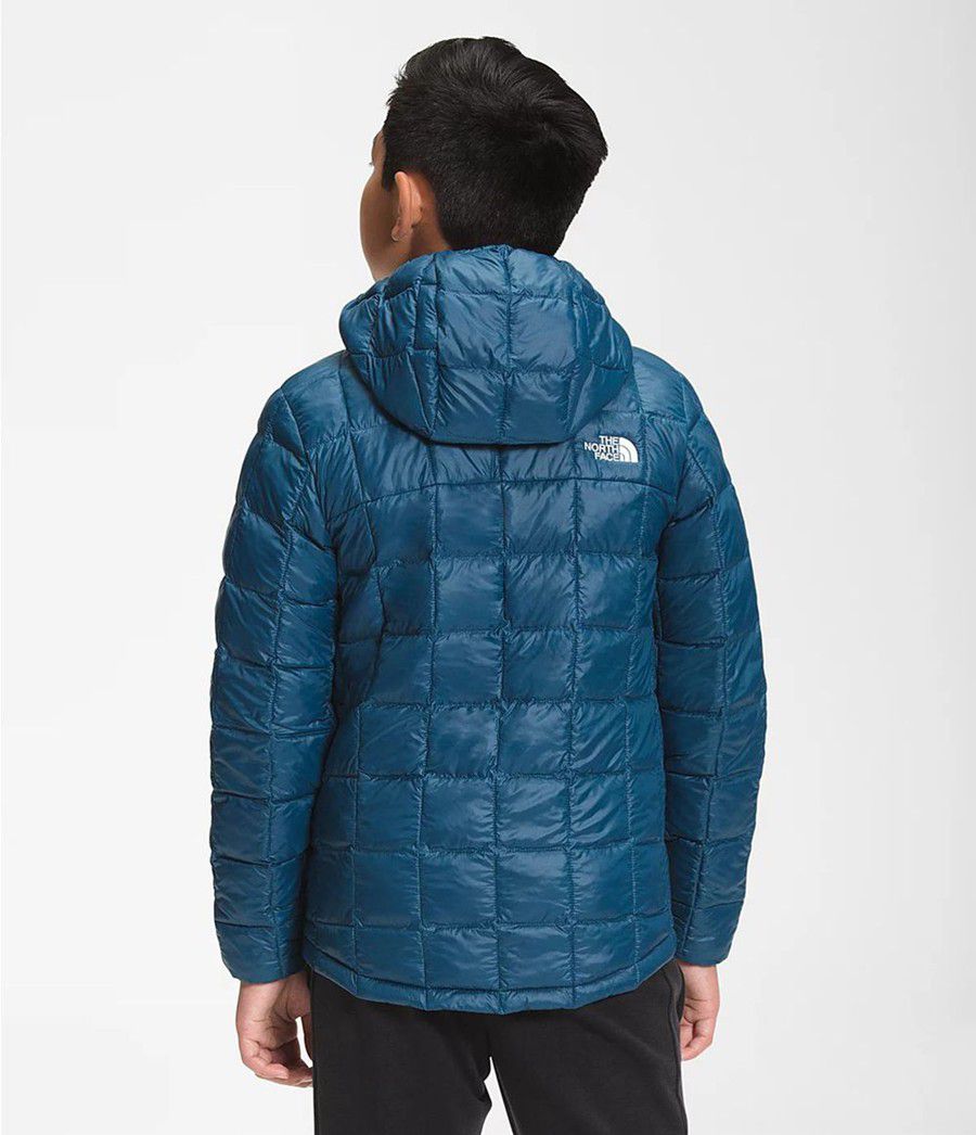 Dětské Hoodies The North Face Thermoball Eco Blankyt | TNHQFWO-07