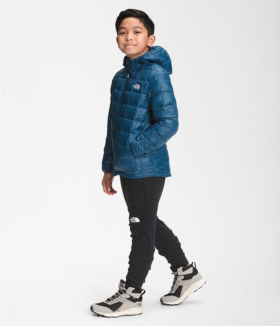 Dětské Hoodies The North Face Thermoball Eco Blankyt | TNHQFWO-07