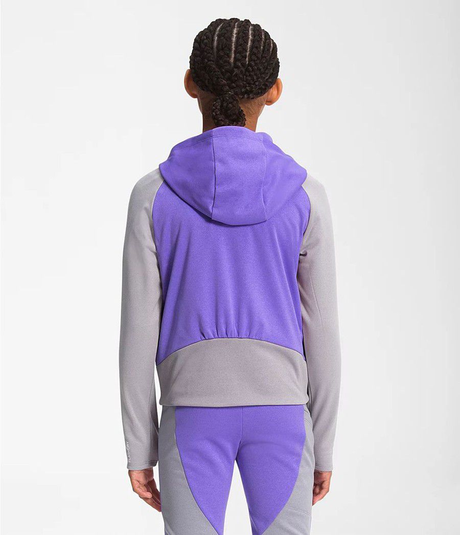 Dětské Hoodies The North Face Winter Warm Full Zip Fialové | ZUEDXKT-40