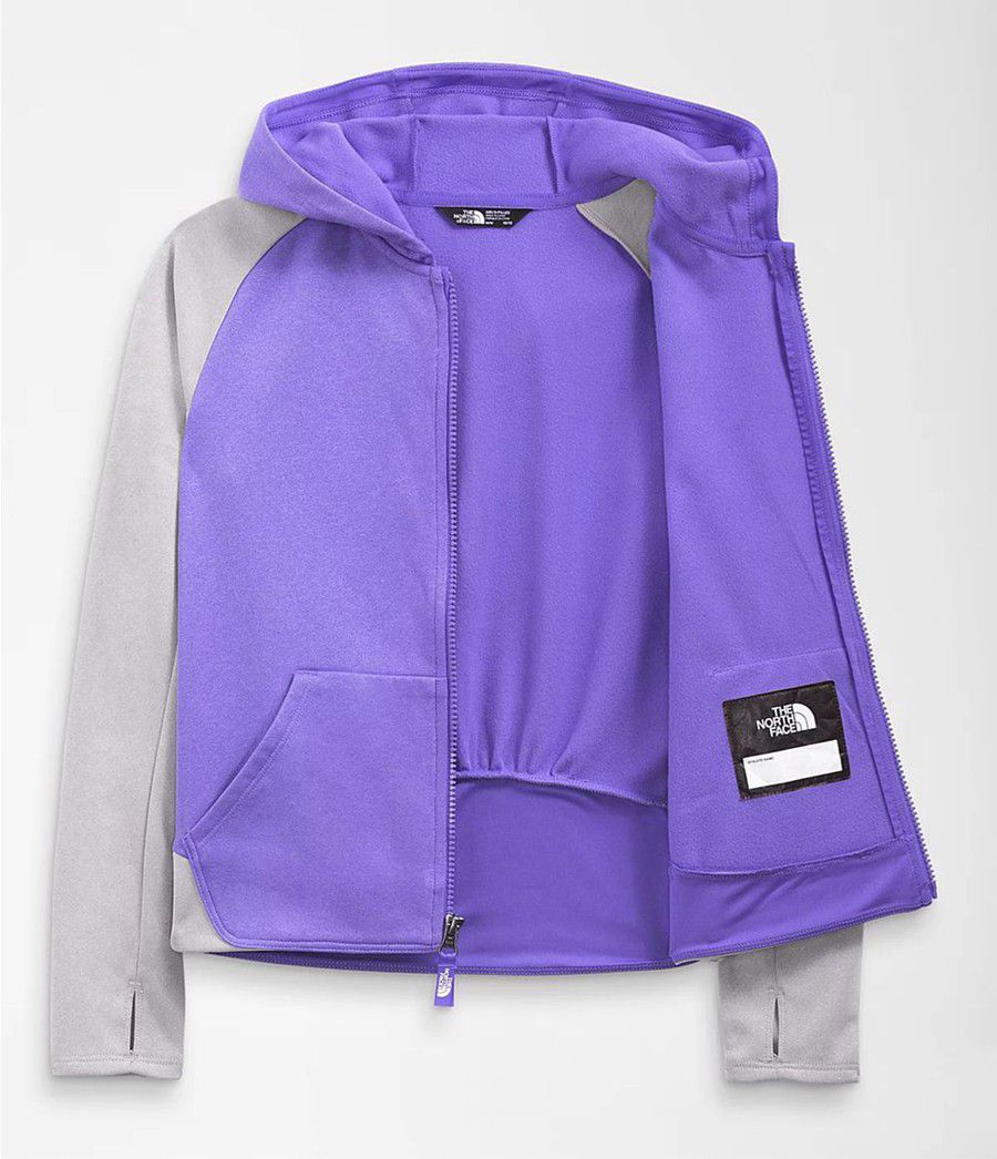 Dětské Hoodies The North Face Winter Warm Full Zip Fialové | ZUEDXKT-40