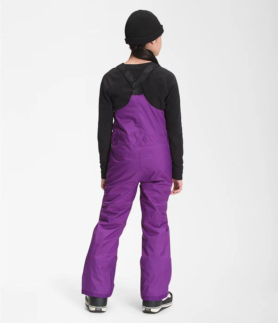 Dětské Kalhoty The North Face Freedom Insulated Bib Fialové | OESQDKM-31