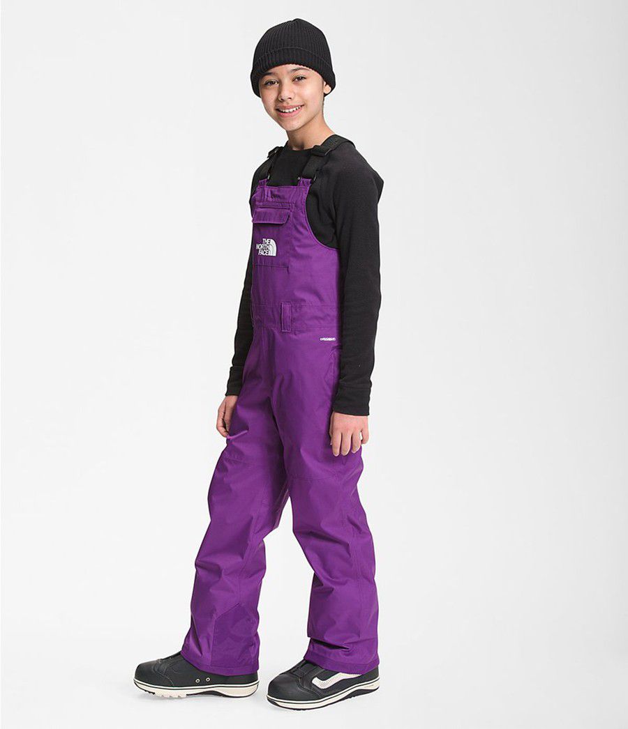 Dětské Kalhoty The North Face Freedom Insulated Bib Fialové | OESQDKM-31