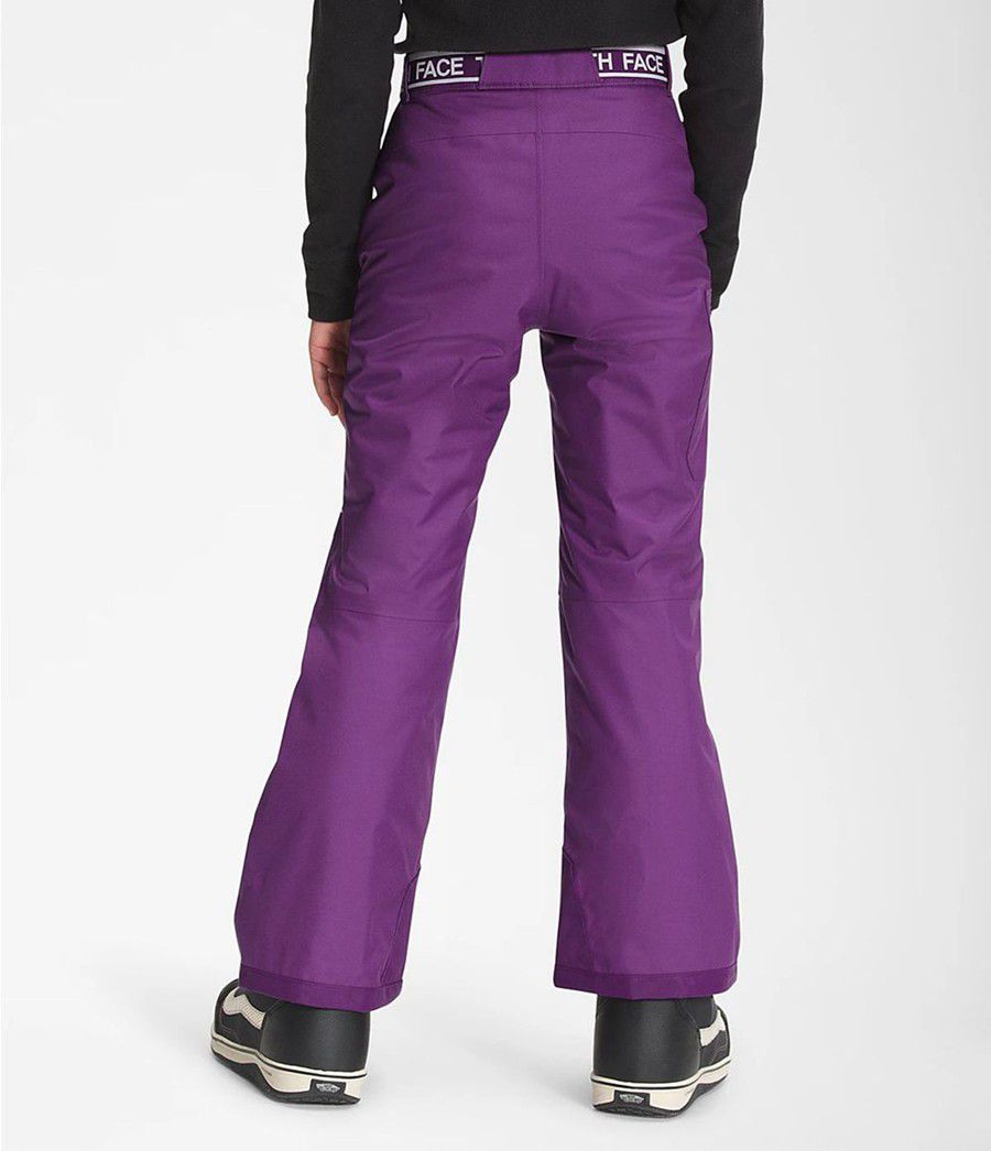 Dětské Kalhoty The North Face Freedom Insulated Fialové | SPLMGVB-34