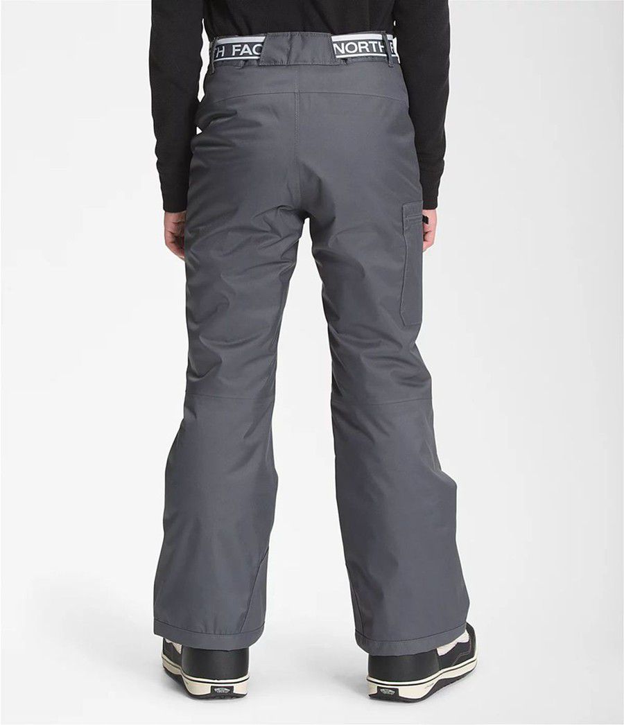 Dětské Kalhoty The North Face Freedom Insulated Šedé | HWKCZVN-54