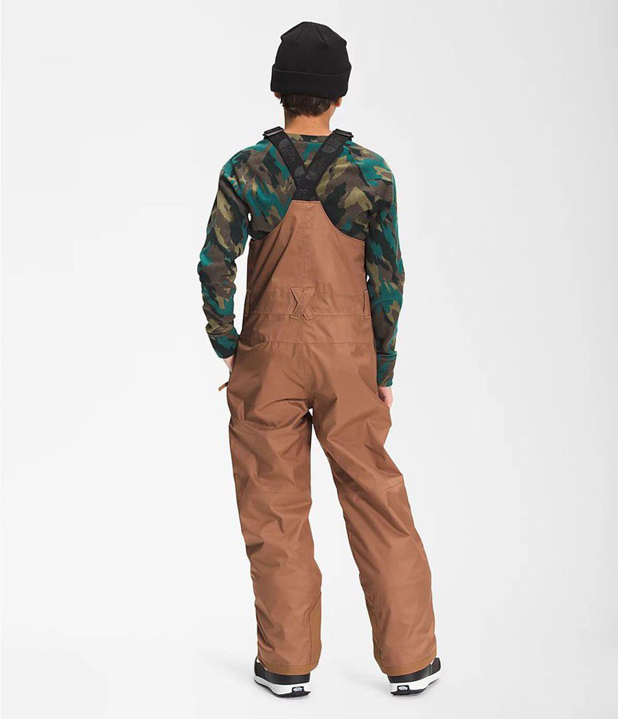 Dětské Kalhoty The North Face Freedom Insulated Bib Tmavě Hnědé | QKIESPR-81