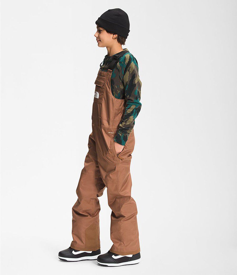 Dětské Kalhoty The North Face Freedom Insulated Bib Tmavě Hnědé | QKIESPR-81