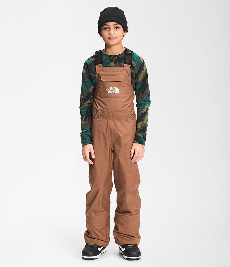 Dětské Kalhoty The North Face Freedom Insulated Bib Tmavě Hnědé | QKIESPR-81