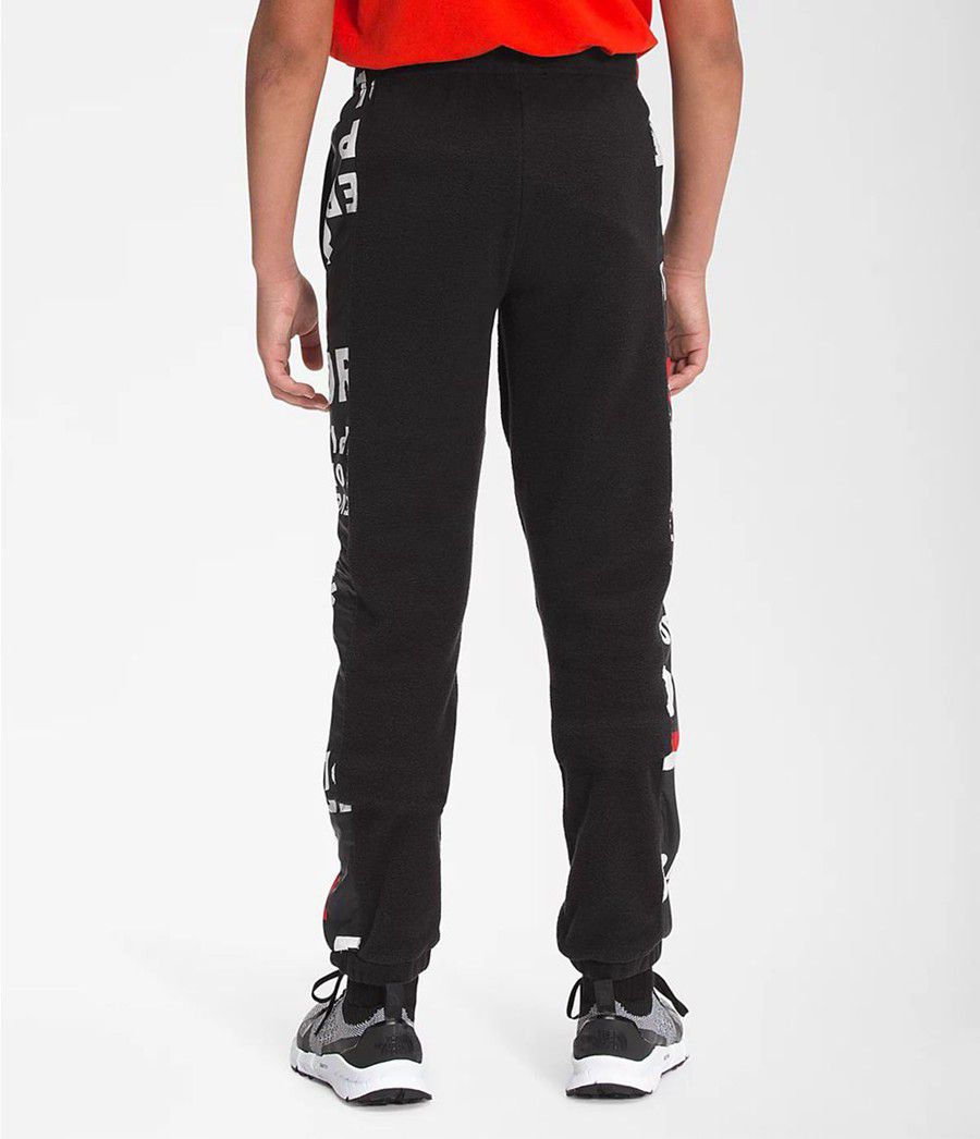 Dětské Kalhoty The North Face Freestyle Jogger Černé | AHTVIGX-21