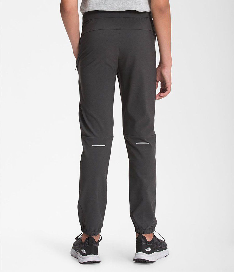 Dětské Kalhoty The North Face On Mountain Šedé | STQXCUL-21