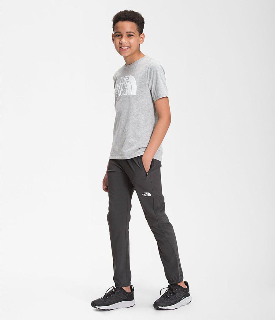 Dětské Kalhoty The North Face On Mountain Šedé | STQXCUL-21