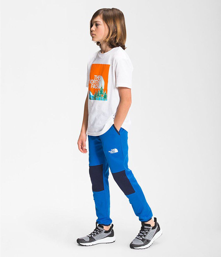 Dětské Kalhoty The North Face Winter Warm Jogger Blankyt | AJTSRMB-18