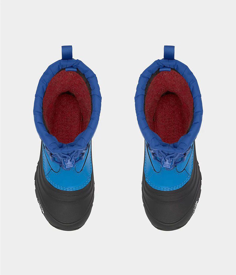 Dětské Obuv The North Face Alpenglow Iv Blankyt | ODMHKQE-59