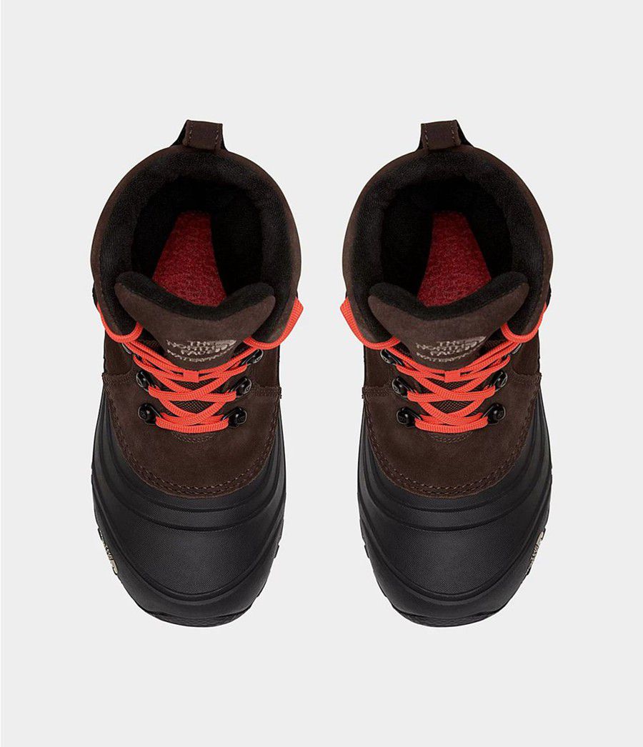 Dětské Obuv The North Face Chilkat Lace Ii Tmavě Hnědé | NWCMVKQ-53