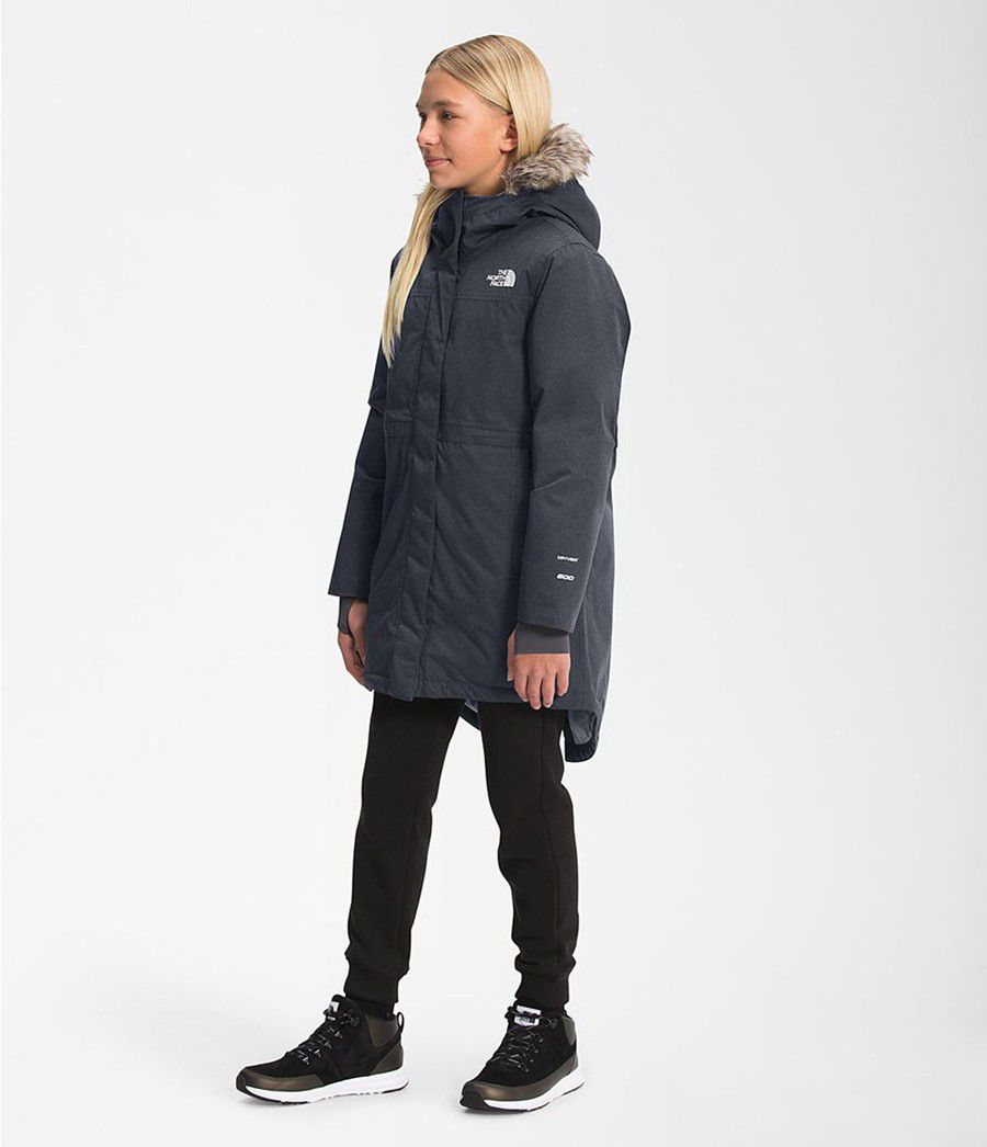 Dětské Parkas The North Face Arctic Swirl Šedé | SULDTWN-26