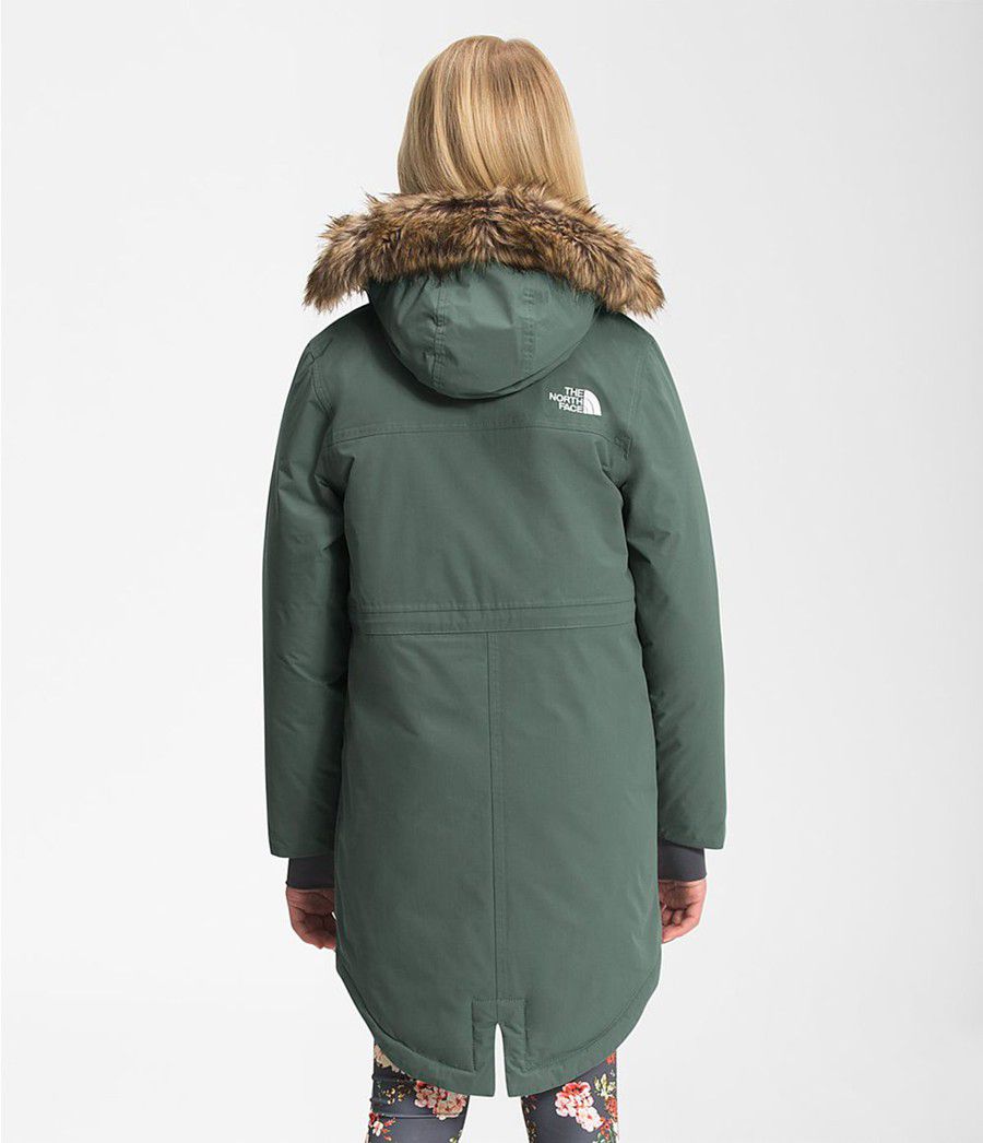 Dětské Parkas The North Face Arctic Swirl Zelene | PJECMWQ-09