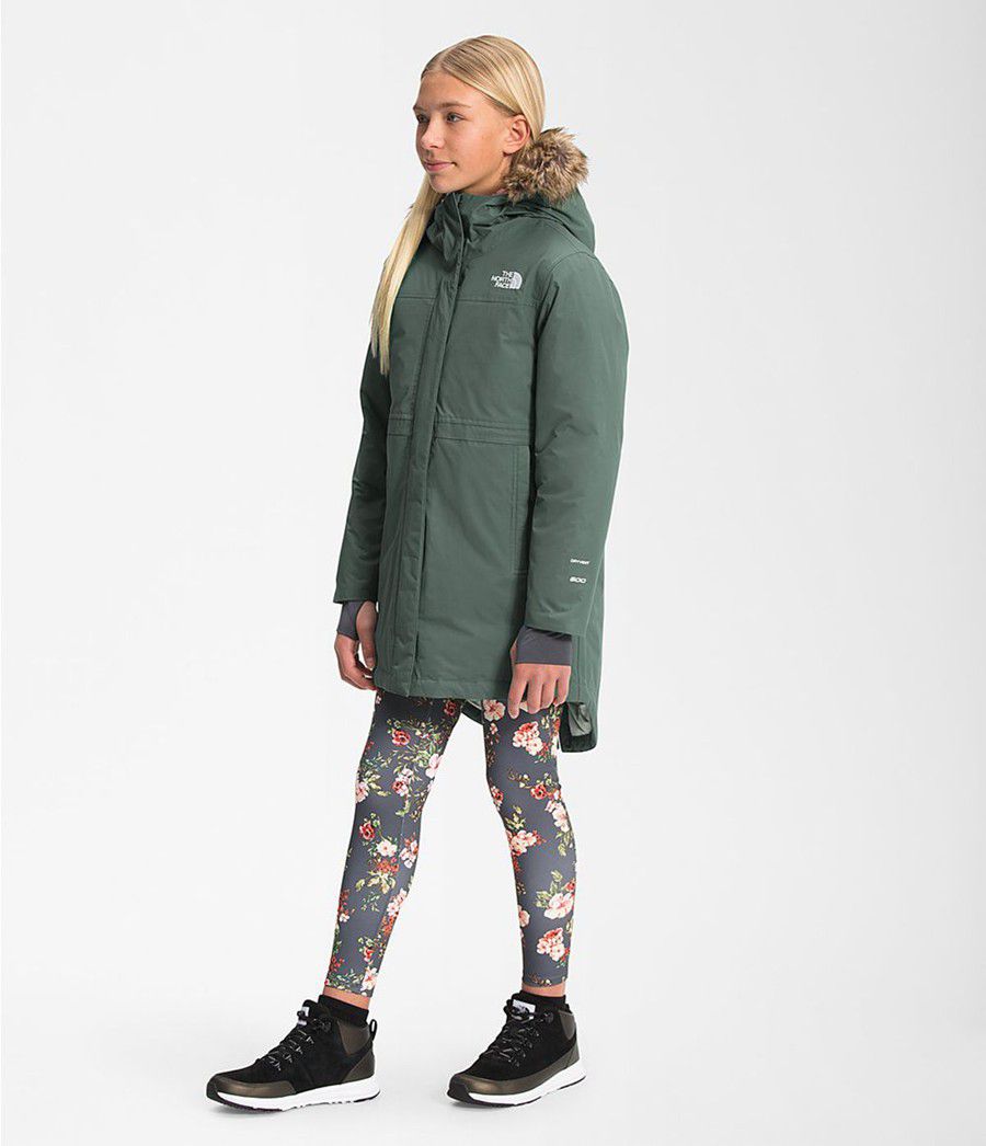 Dětské Parkas The North Face Arctic Swirl Zelene | PJECMWQ-09
