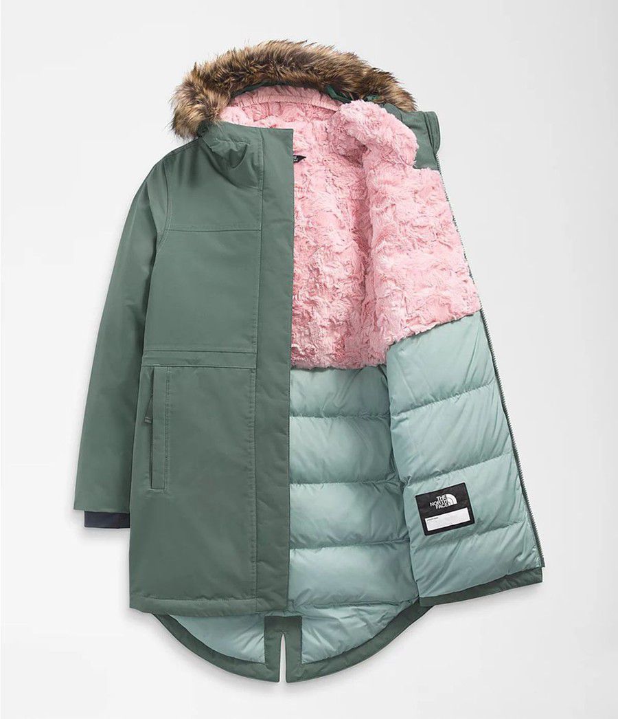 Dětské Parkas The North Face Arctic Swirl Zelene | PJECMWQ-09