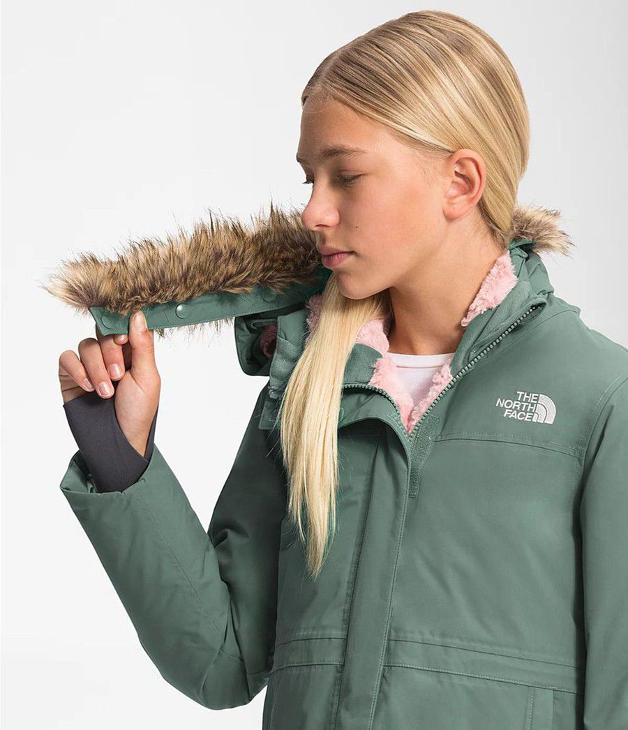 Dětské Parkas The North Face Arctic Swirl Zelene | PJECMWQ-09