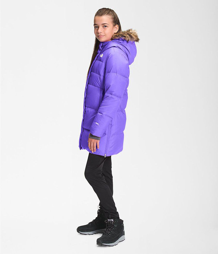 Dětské Parkas The North Face Dealio Fitted Fialové | ARJHUPQ-57
