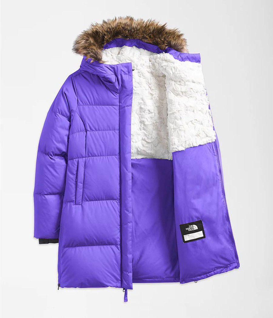 Dětské Parkas The North Face Dealio Fitted Fialové | ARJHUPQ-57