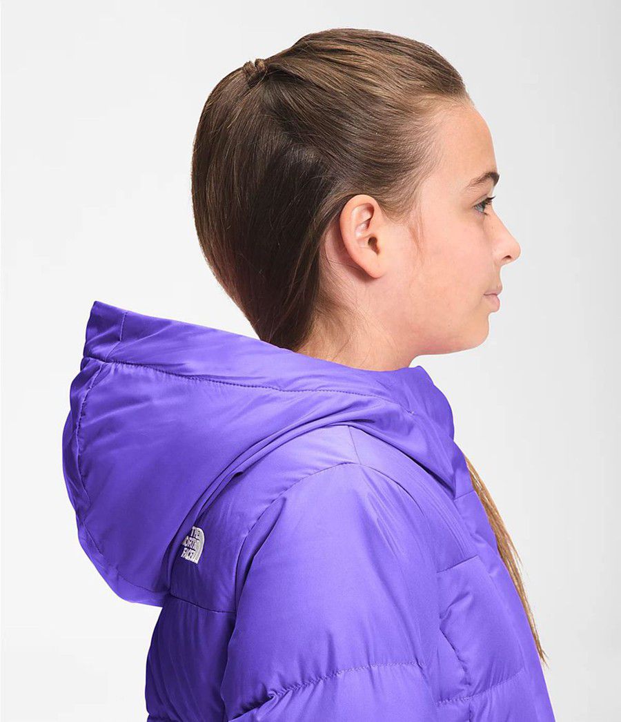 Dětské Parkas The North Face Dealio Fitted Fialové | ARJHUPQ-57