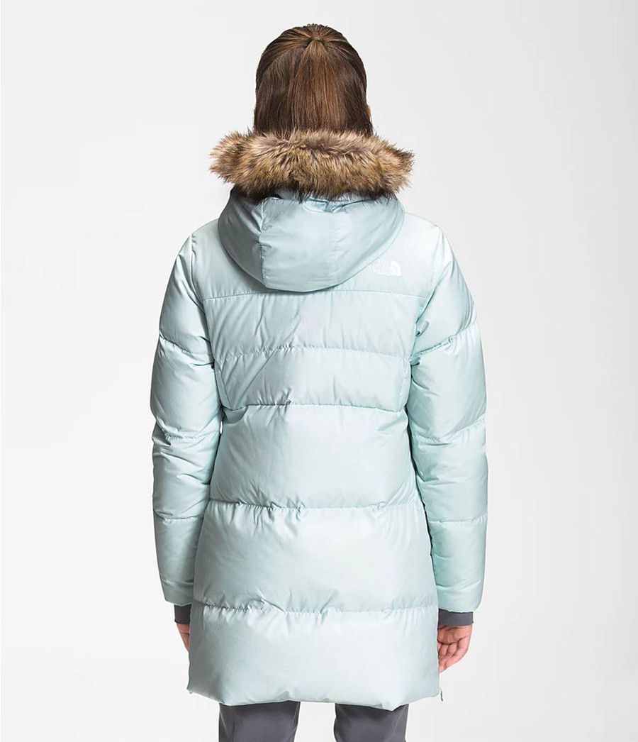 Dětské Parkas The North Face Dealio Fitted Blankyt | VXHTAMR-68