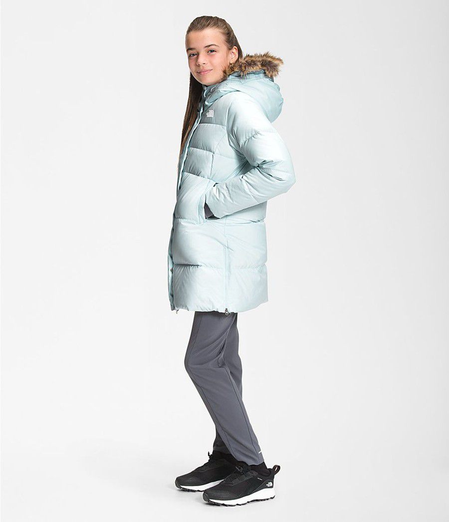 Dětské Parkas The North Face Dealio Fitted Blankyt | VXHTAMR-68