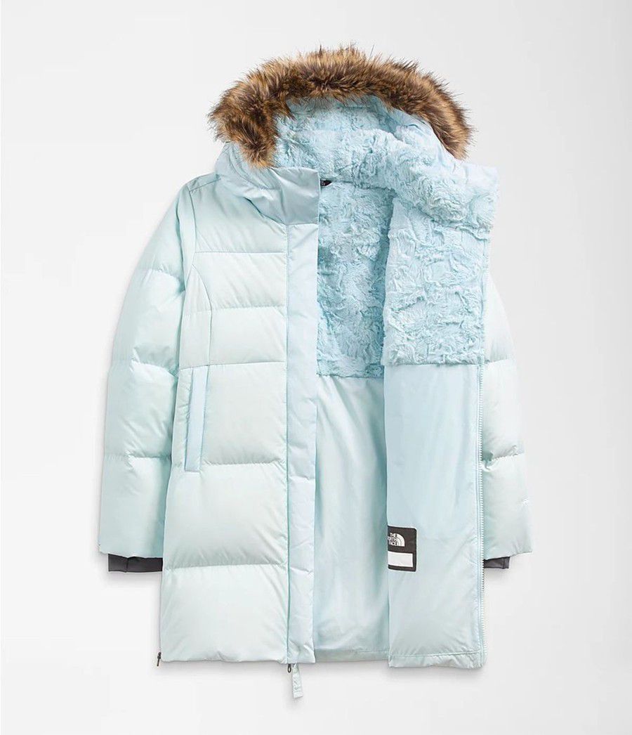 Dětské Parkas The North Face Dealio Fitted Blankyt | VXHTAMR-68