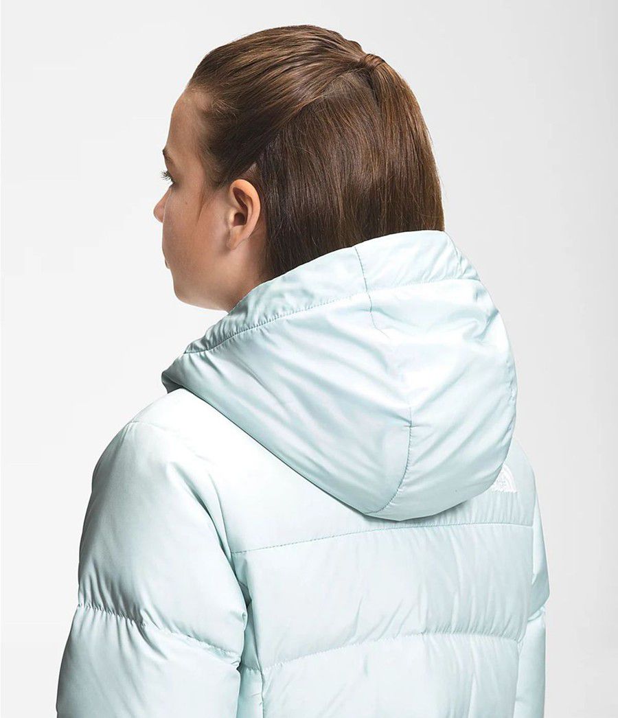 Dětské Parkas The North Face Dealio Fitted Blankyt | VXHTAMR-68
