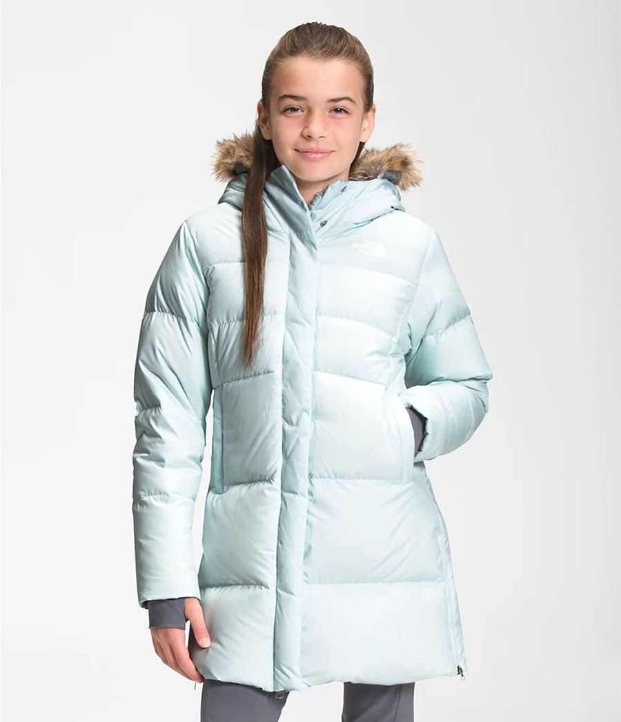 Dětské Parkas The North Face Dealio Fitted Blankyt | VXHTAMR-68