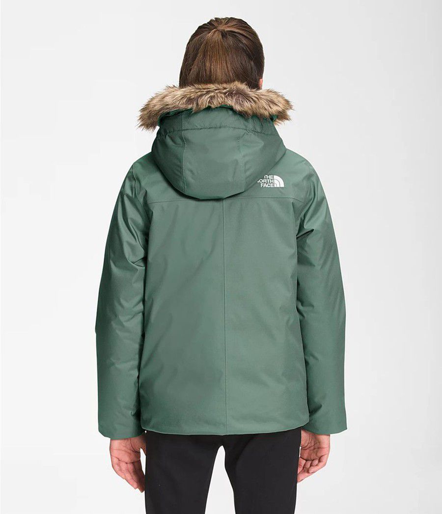 Dětské Parkas The North Face Greenland Zelene | KXLJRVP-21