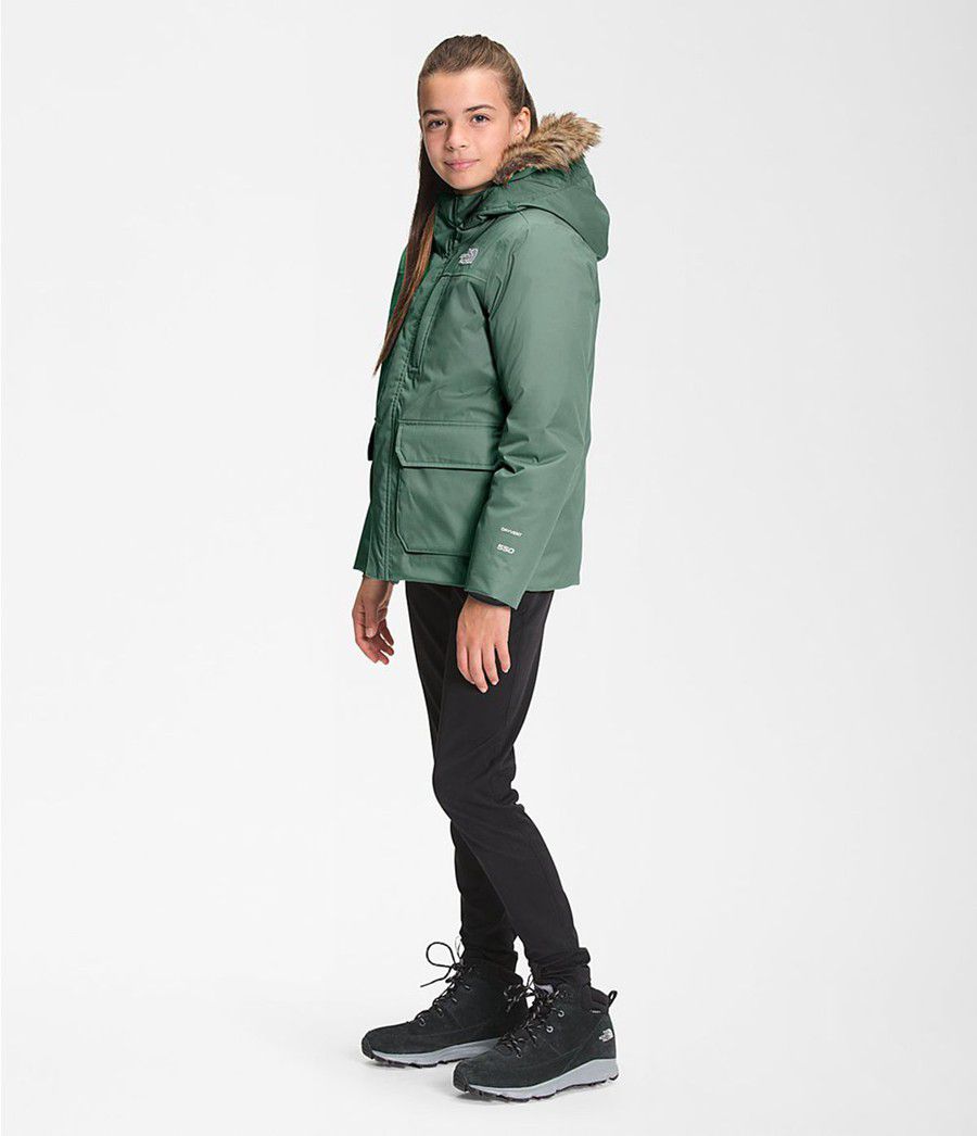 Dětské Parkas The North Face Greenland Zelene | KXLJRVP-21