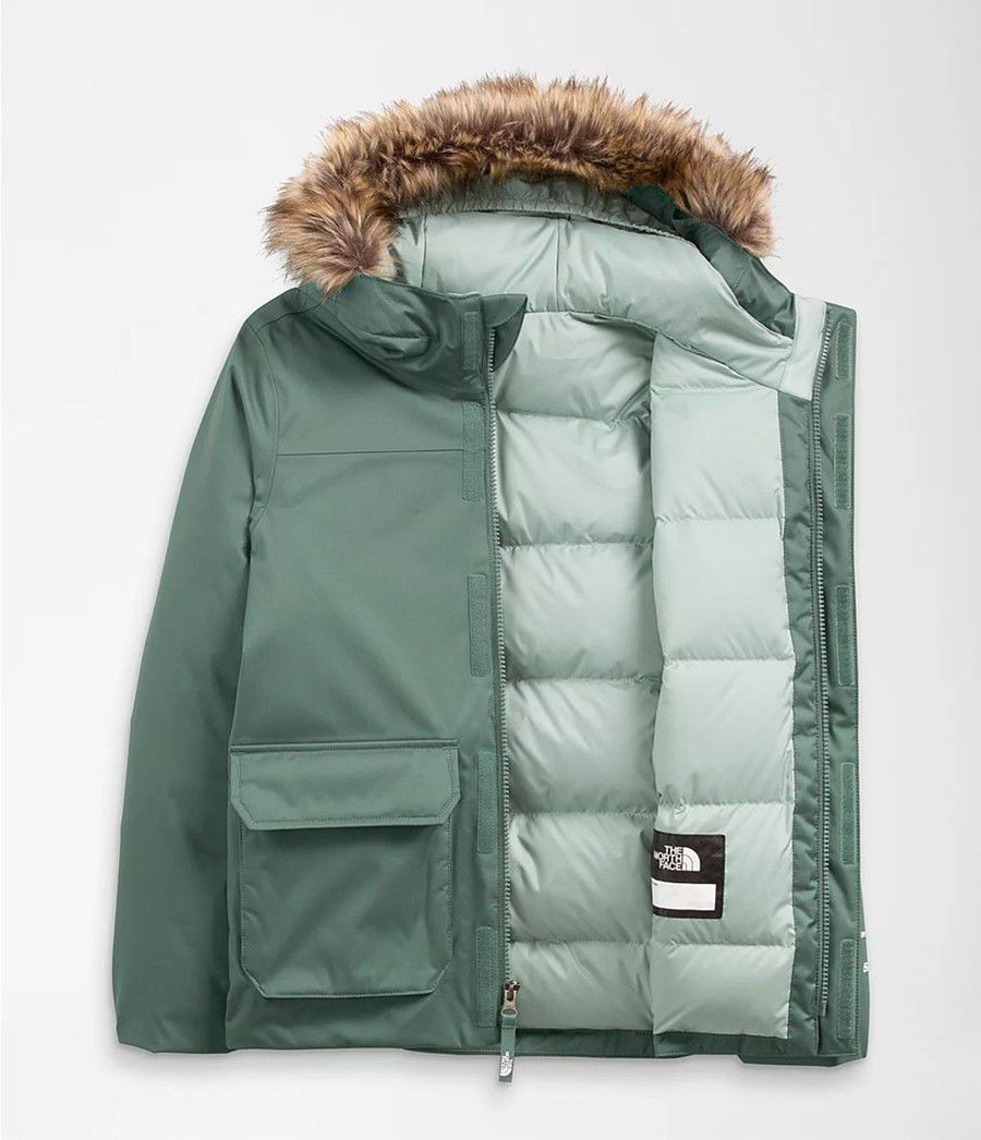 Dětské Parkas The North Face Greenland Zelene | KXLJRVP-21