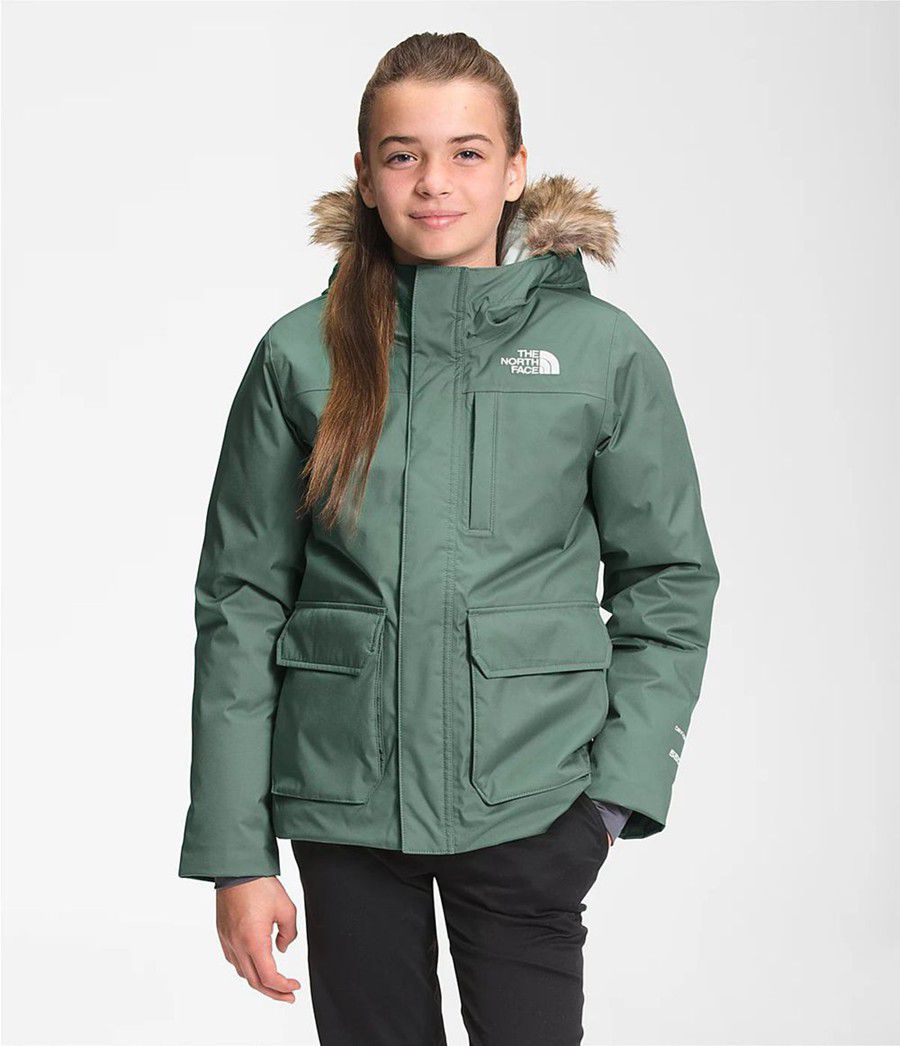 Dětské Parkas The North Face Greenland Zelene | KXLJRVP-21