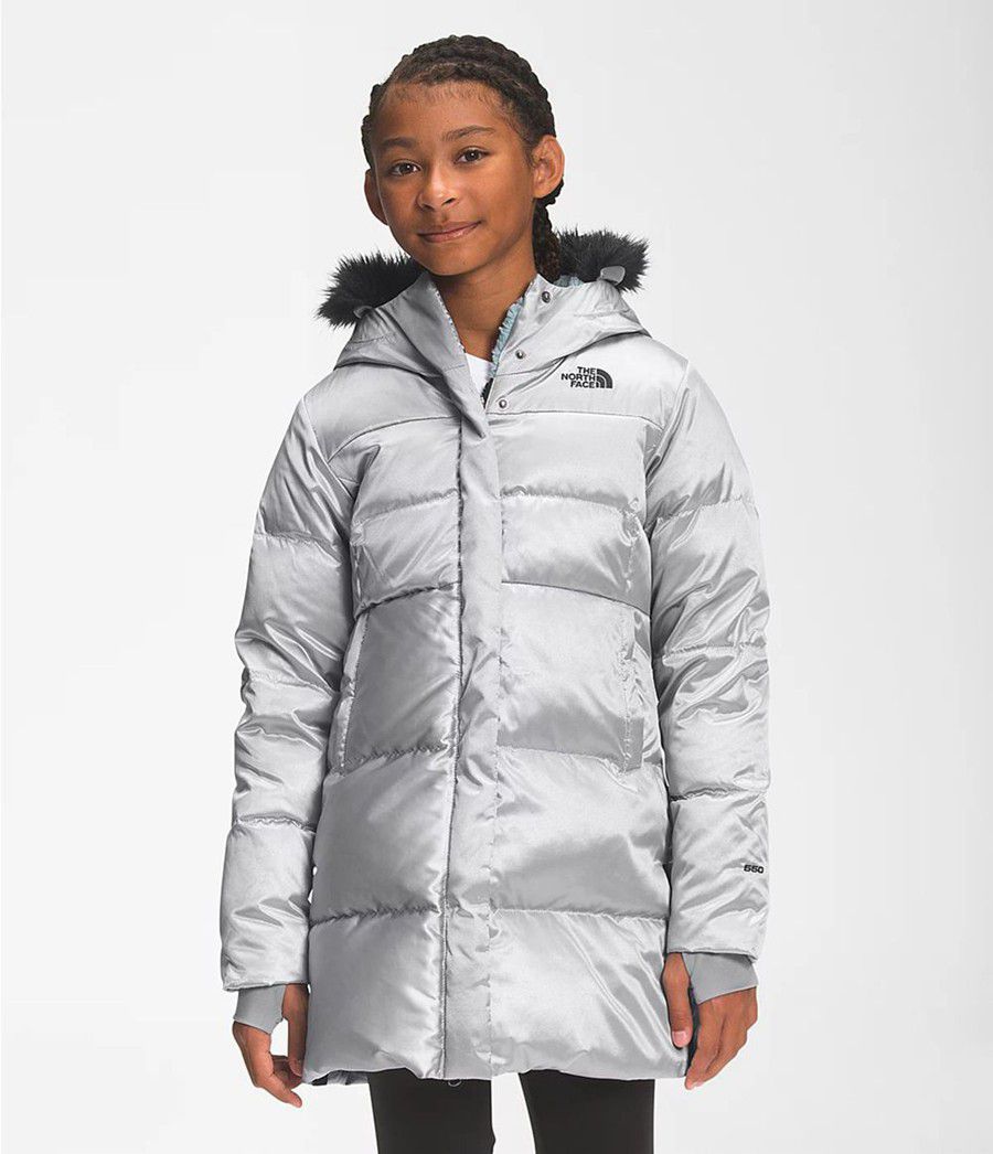 Dětské Parkas The North Face Printed Dealio Fitted Šedé | QRFTENY-86