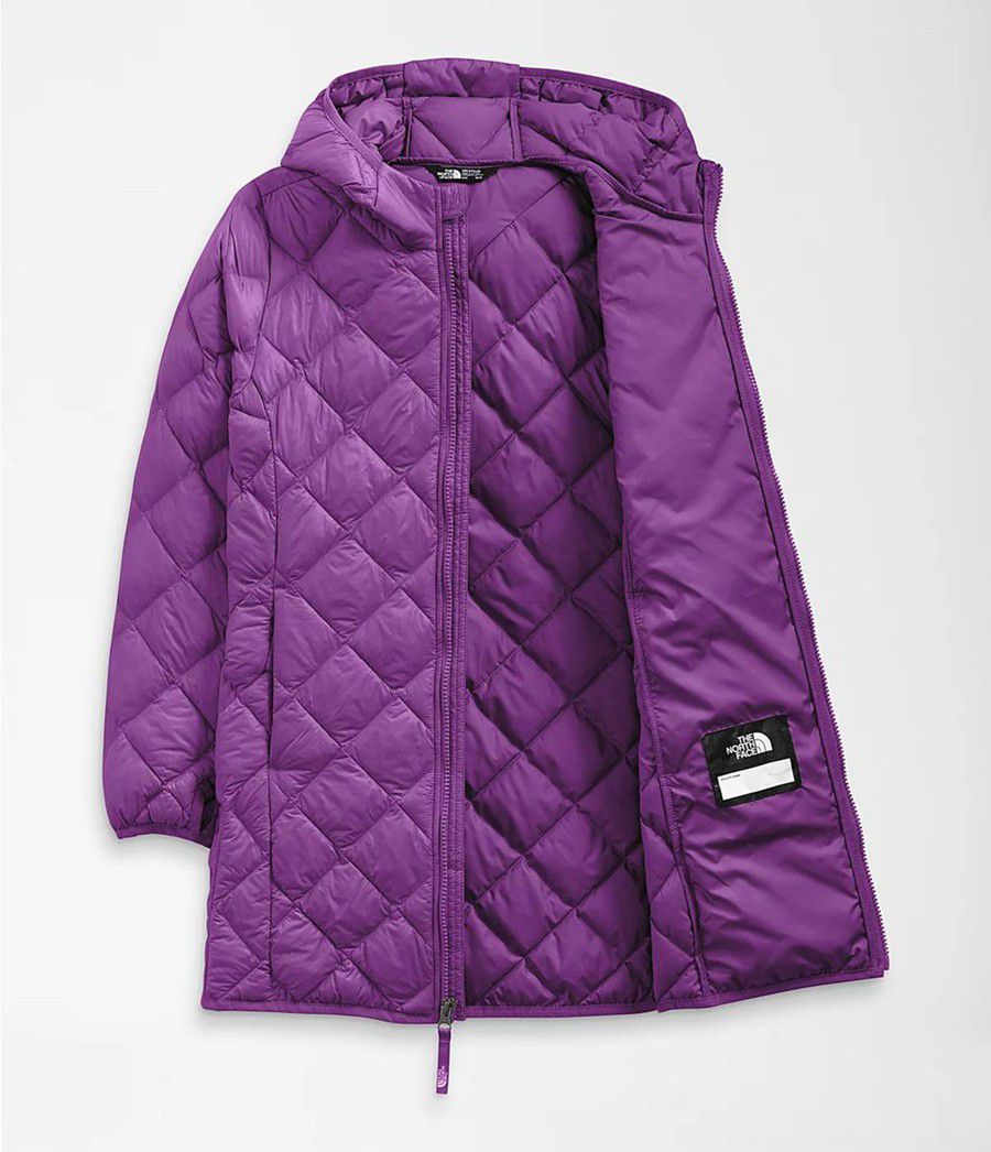 Dětské Parkas The North Face Thermoball Eco Fialové | CRPMBXJ-45