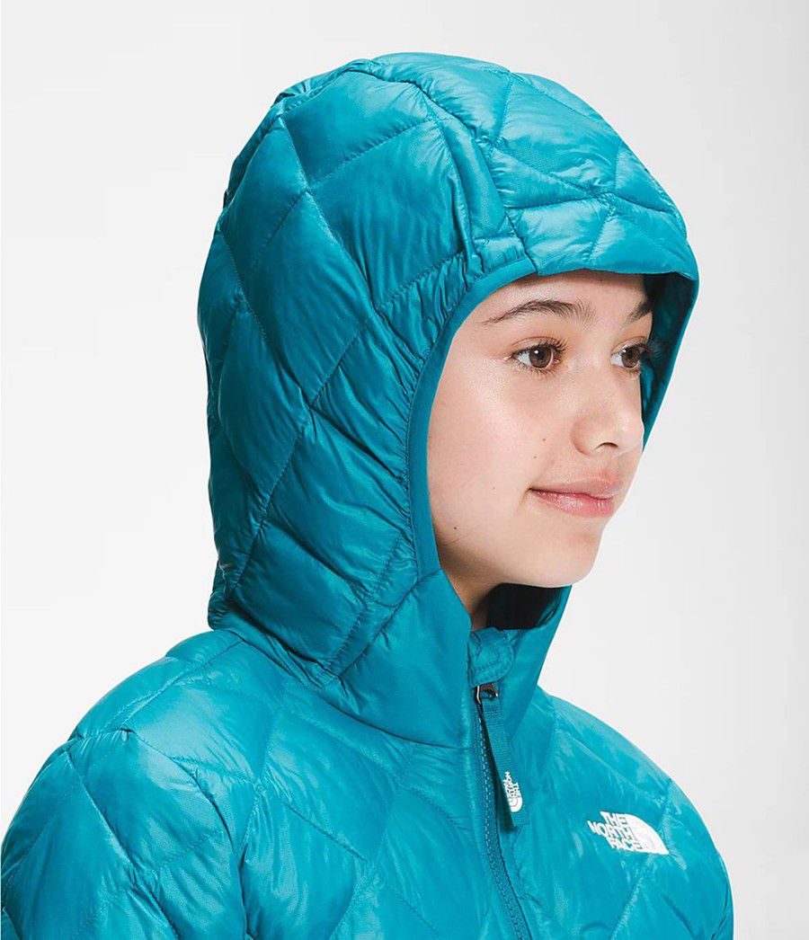 Dětské Parkas The North Face Thermoball Eco Blankyt | KYROZEN-69