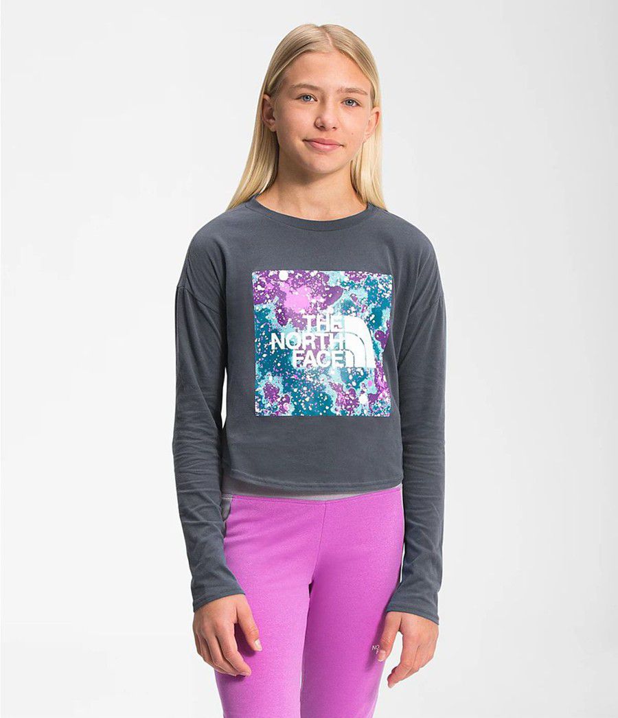 Dětské T-Shirts The North Face Long Sleeve Graphic Šedé | SFPNTZD-26