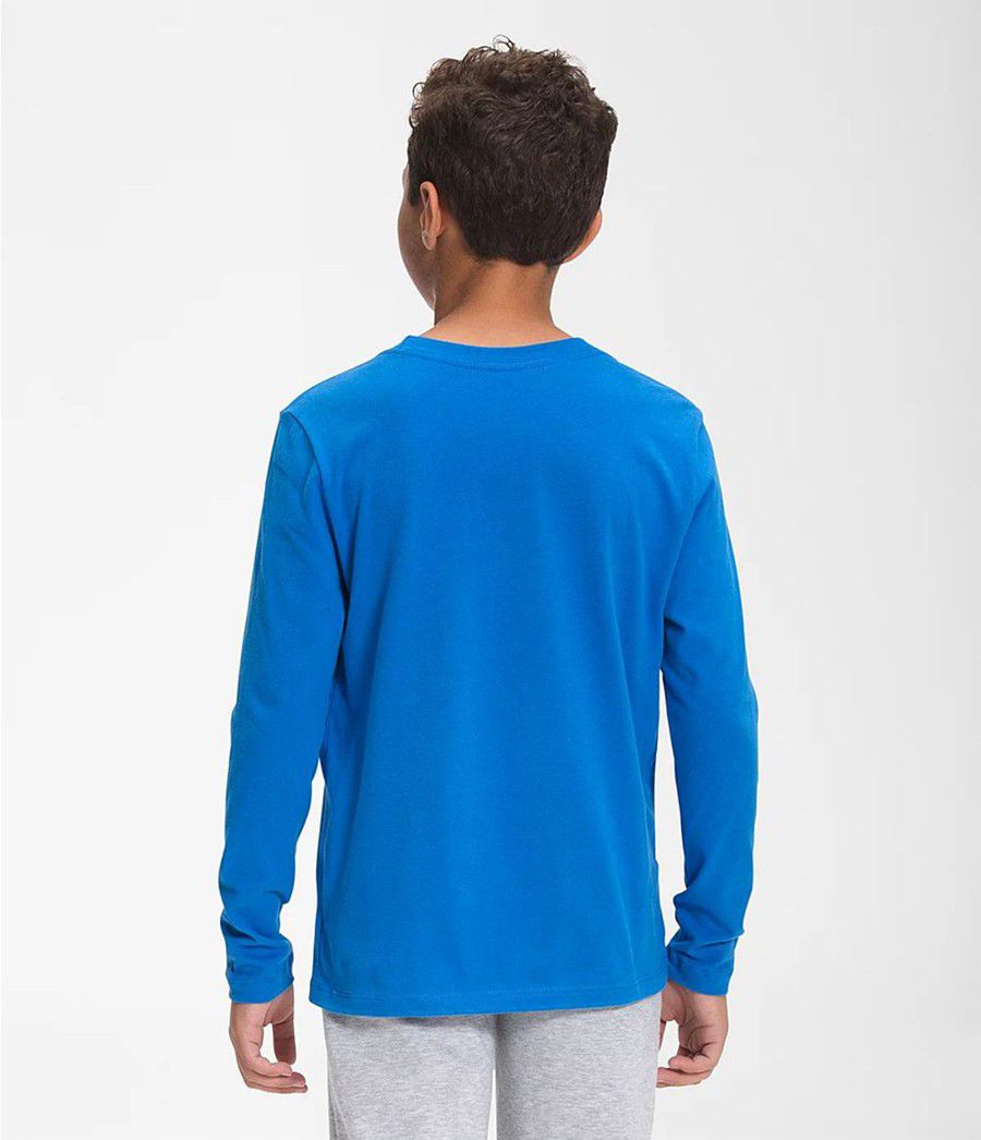 Dětské T-Shirts The North Face Long Sleeve Graphic Blankyt | YWVHSUT-26
