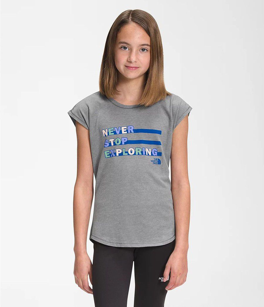 Dětské T-Shirts The North Face Short Sleeve Graphic Šedé | UBSLQZR-47