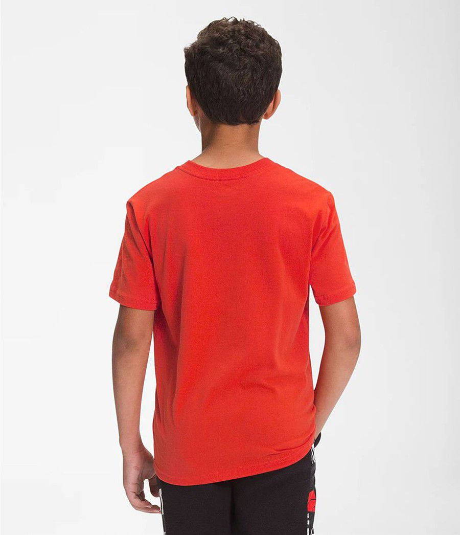 Dětské T-Shirts The North Face Short Sleeve Graphic Červené Černé | QSXZHIP-24