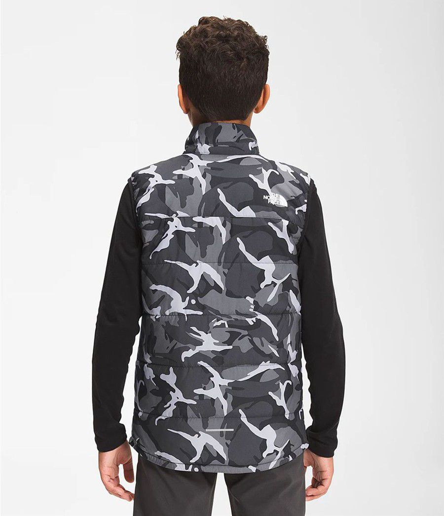 Dětské Vests The North Face Printed Reactor Insulated Šedé | QDSECMP-34