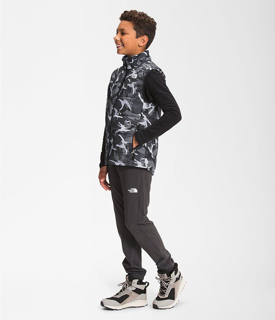 Dětské Vests The North Face Printed Reactor Insulated Šedé | QDSECMP-34