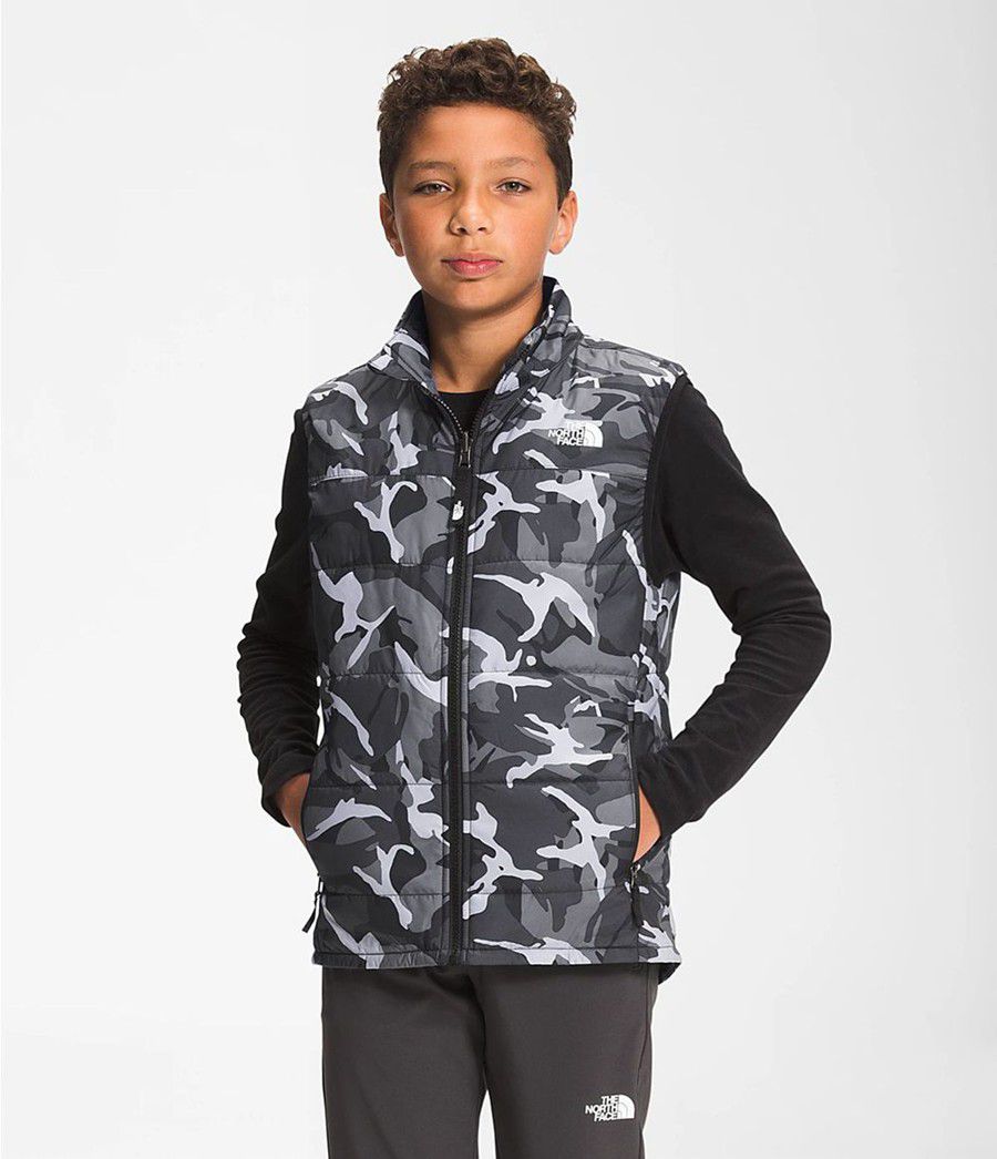 Dětské Vests The North Face Printed Reactor Insulated Šedé | QDSECMP-34