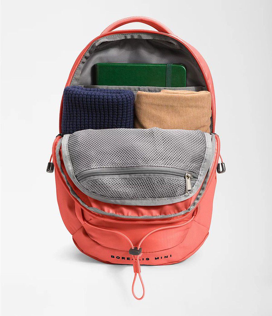 Pánské Batoh The North Face Borealis Mini Oranžové | KNQCHWF-23