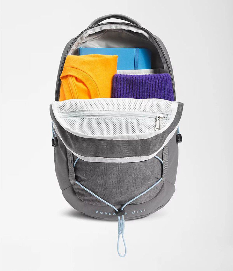 Pánské Batoh The North Face Borealis Mini Tmavě Šedé | ASYVHPU-93