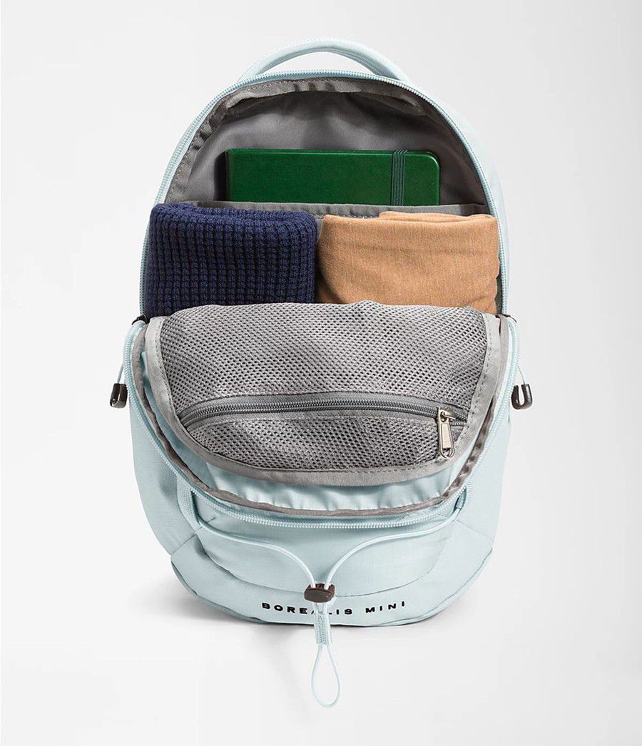 Pánské Batoh The North Face Borealis Mini Blankyt | BHUWCES-89