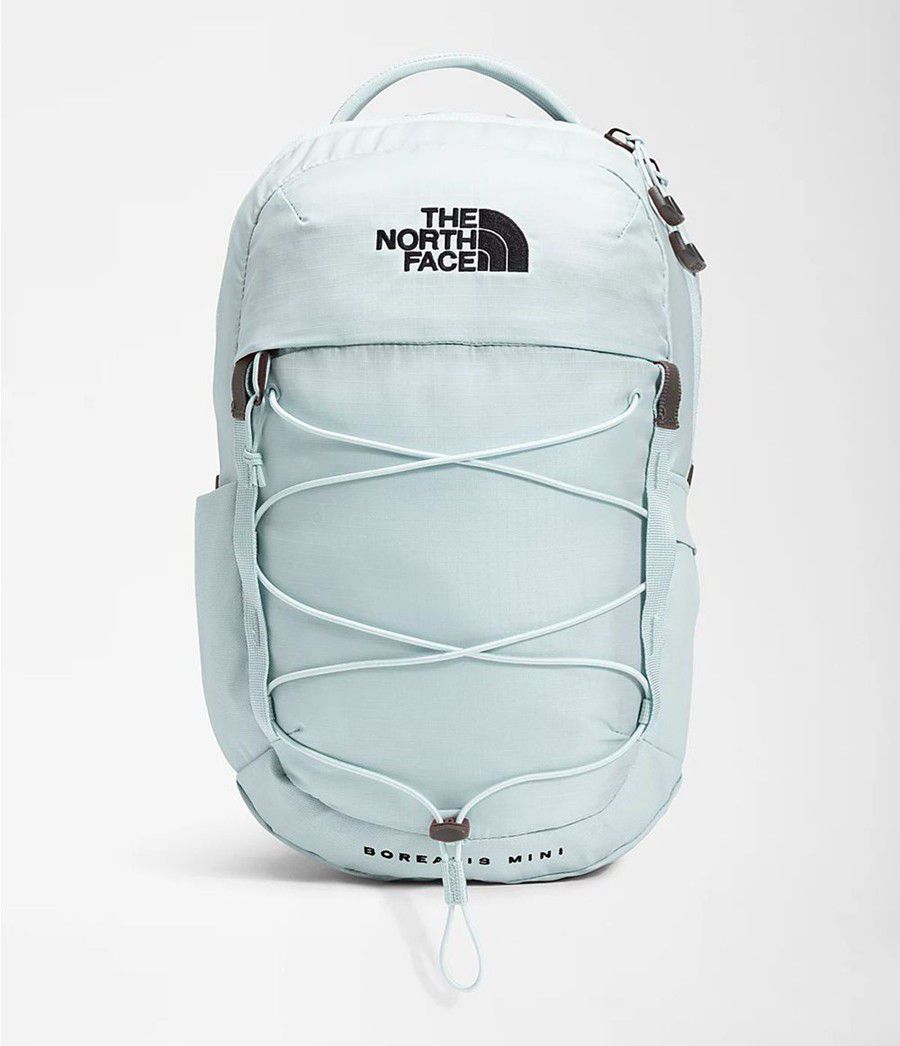 Pánské Batoh The North Face Borealis Mini Blankyt | BHUWCES-89