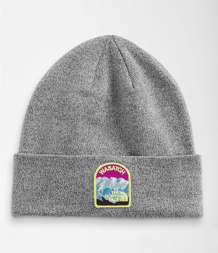 Pánské Beanies The North Face Embroidered Earthscape Šedé | PWIKYXB-89
