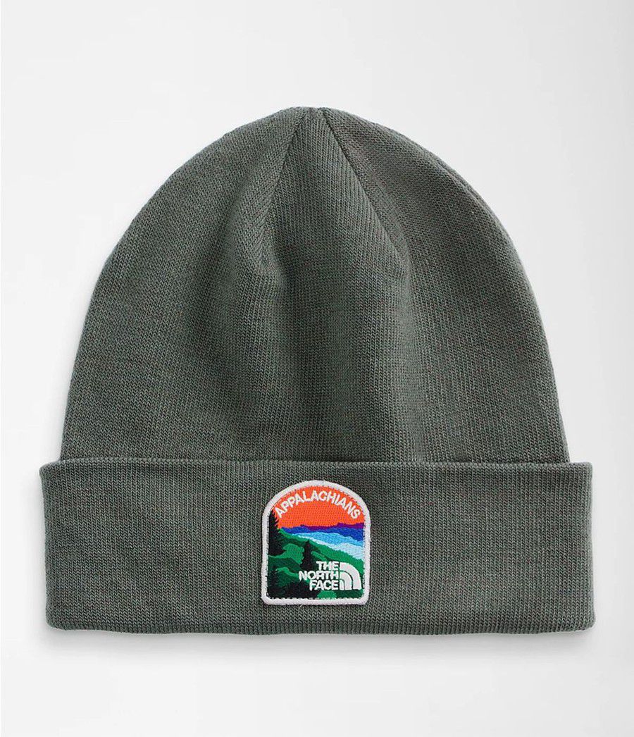 Pánské Beanies The North Face Embroidered Earthscape Zelene | QPRFMVH-04